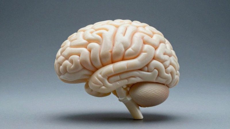 Jak uszkodzenie mózgu powoduje organiczne zaburzenia nastroju?