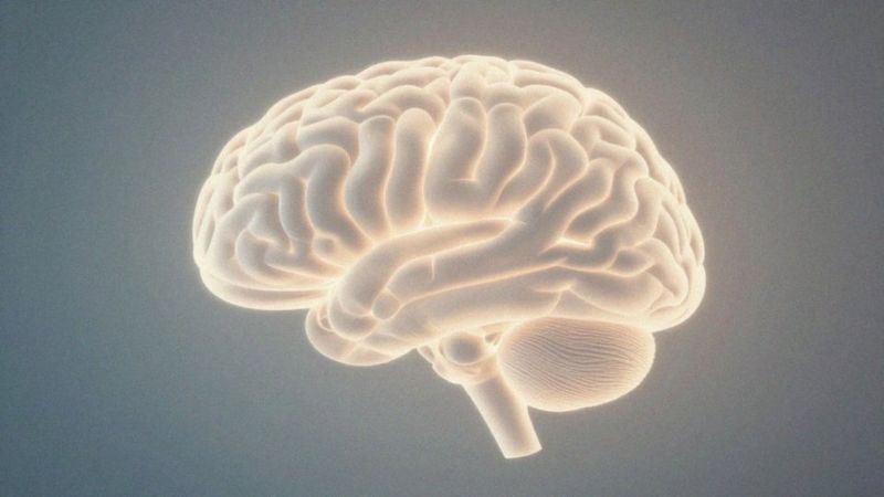 Jak neurotyczność wiąże się z układem nerwowym?