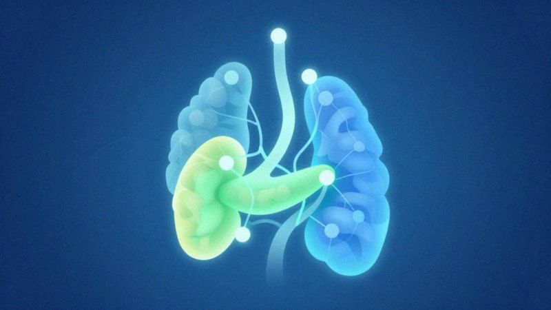 Jak zaburzenia hormonalne prowadzą do otyłości?