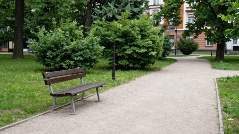 Czym różni się trypofobia od fobii społecznej?