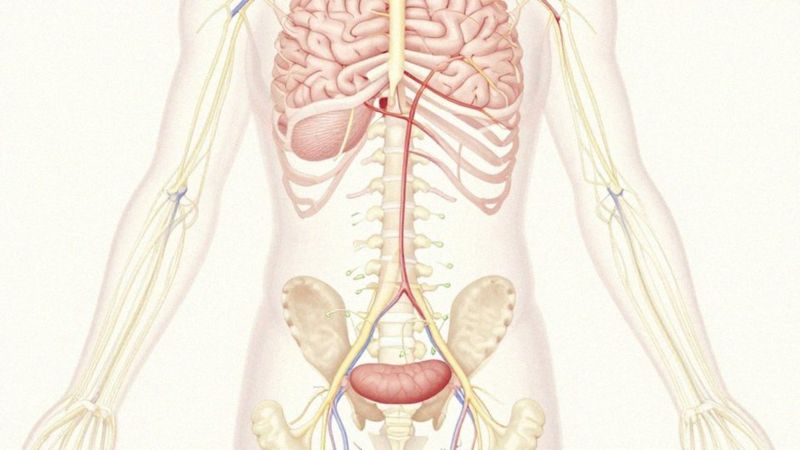 Jak choroby neurologiczne prowadzą do nietrzymania moczu?