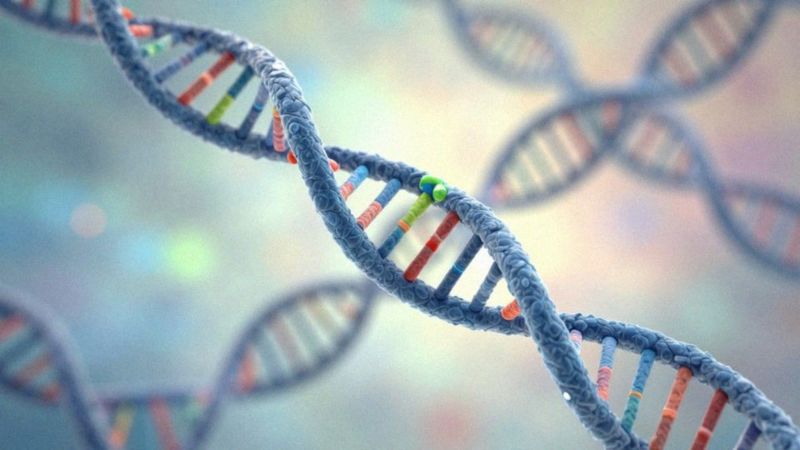 Jak powstają i są naprawiane mutacje DNA?