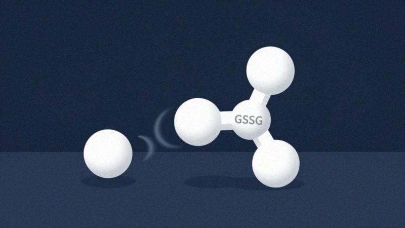 Jak GSH przekształca się w GSSG?