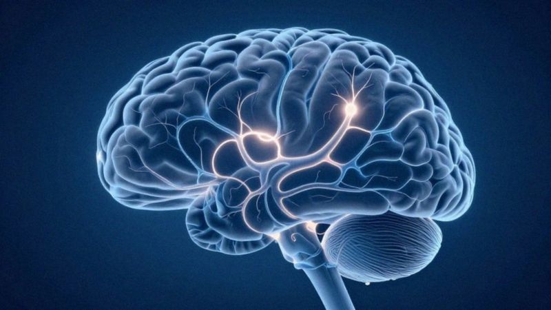 Jak hipoglikemia powoduje obumieranie neuronów?