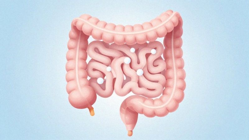 Jak cholekalcyferol w Ibuvit 4000 wpływa na wchłanianie wapnia?