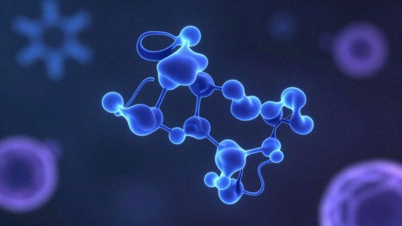 Jak metformina hamuje glukoneogenezę i aktywuje AMPK?