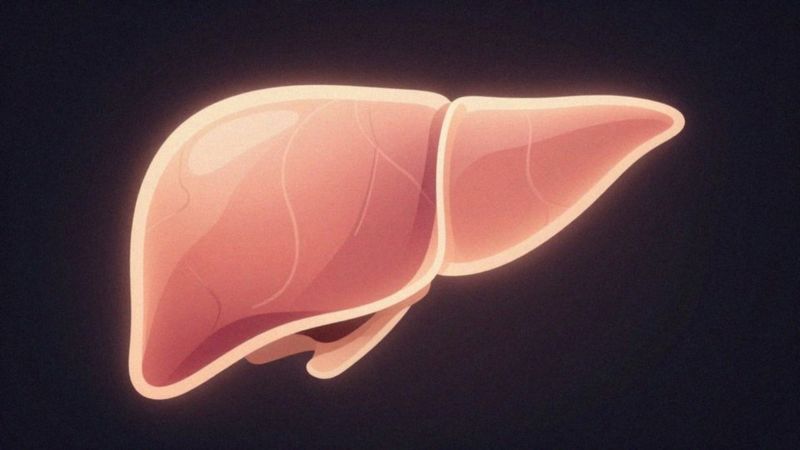 Jak insulinooporność zwiększa ryzyko stłuszczeniowego zapalenia wątroby?
