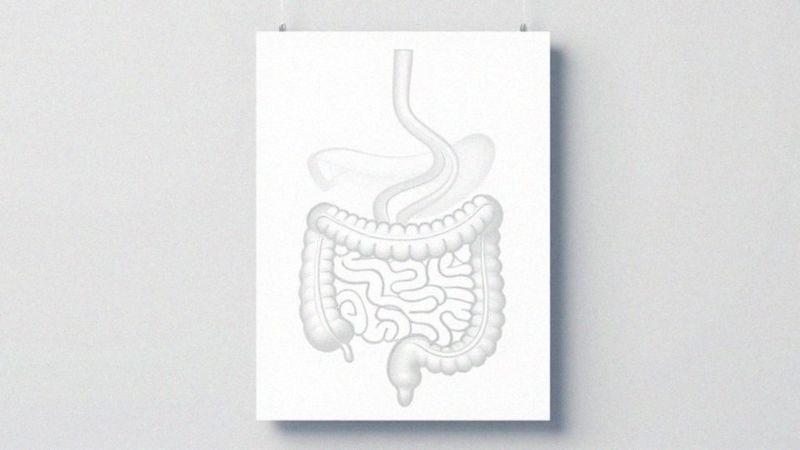 Czy niedożywienie i zaburzenia wchłaniania obniżają poziom cholesterolu?