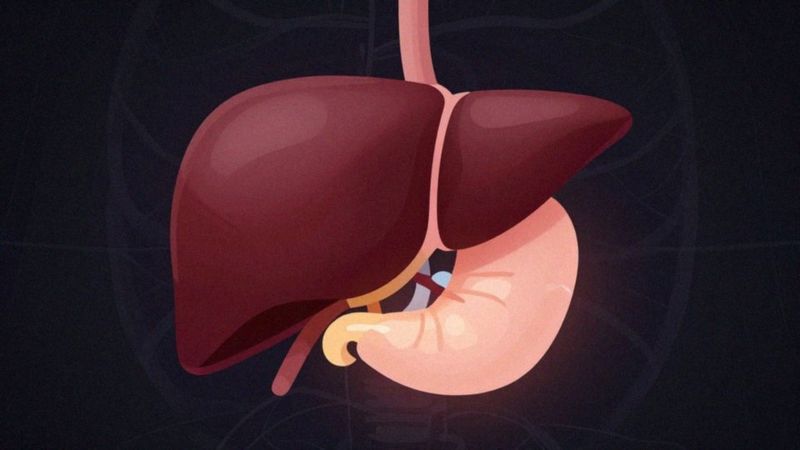 Jak działa chlorowodorek metforminy w organizmie?