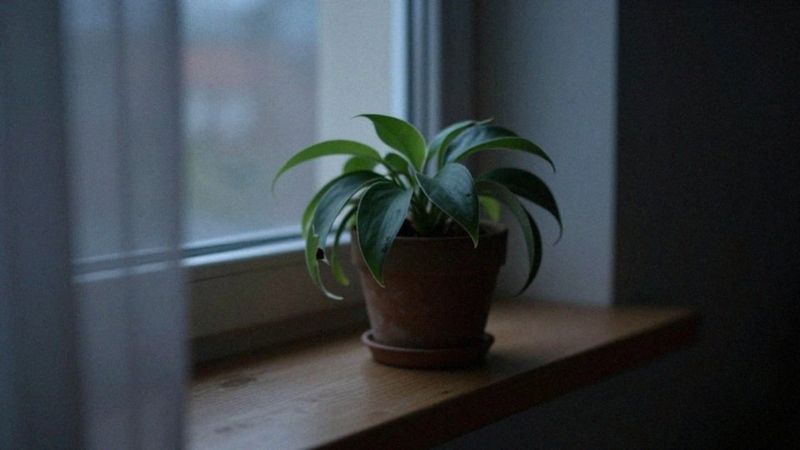 Jakie są emocjonalne i somatyczne skutki związku z narcyzem?