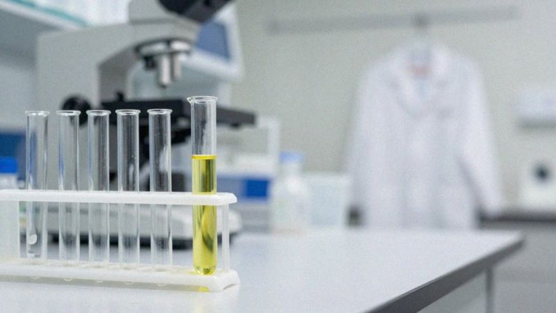 Jakie badania krwi wykrywają alergię na gluten i celiakię?