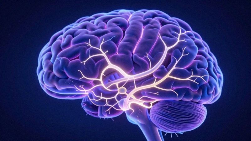 Jak dochodzi do neurodegeneracji w mózgu?
