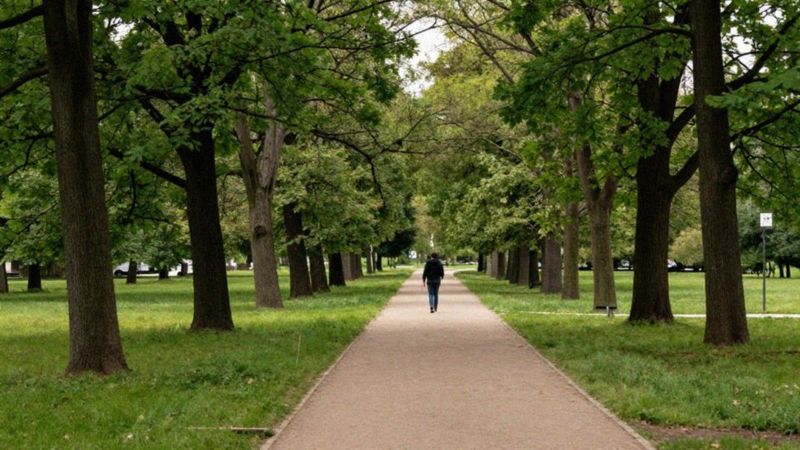 Jak wygląda rehabilitacja i aktywność fizyczna po przeszczepie?