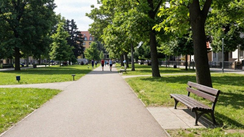 Jakie są zalecenia WHO dotyczące aktywności?