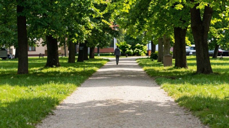 Jak spacery wpływają na zmęczenie i odporność?