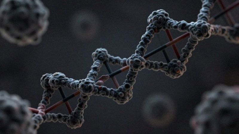 Jakie są neurotoksyczne i genotoksyczne skutki akrylamidu?