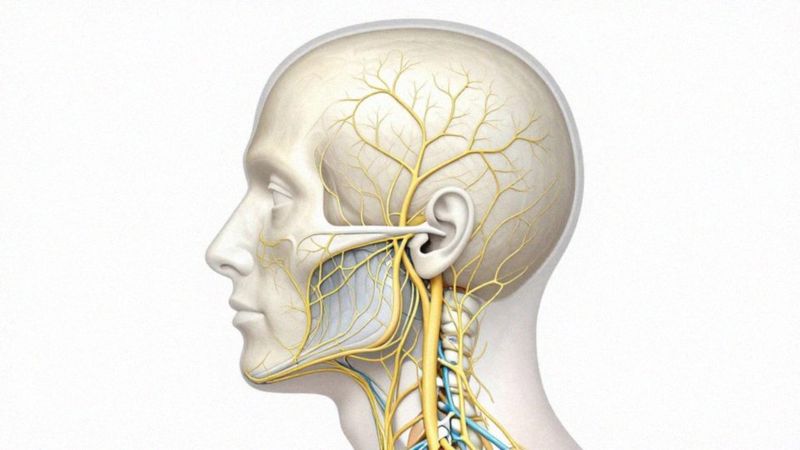 Czy celiakia powoduje objawy neurologiczne na twarzy?