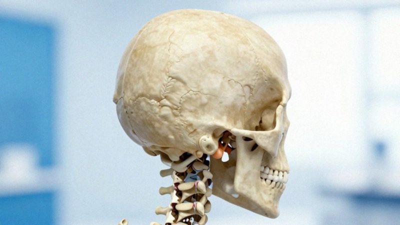 Jakie są przyczyny bólu potylicy?