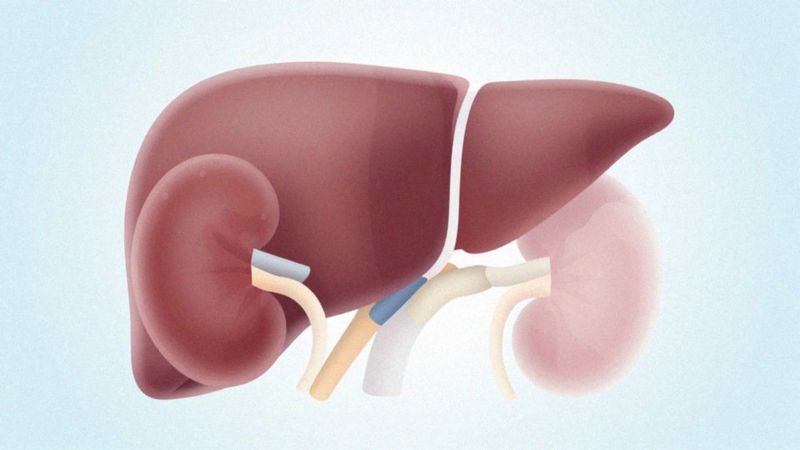 Jak jest metabolizowany i wydalany z organizmu?