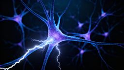 Choroby autoimmunologiczne neurologiczne — objawy, diagnostyka i leczenie