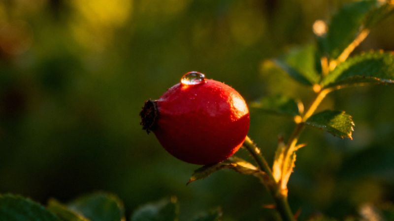 Co to są czerwone plamy na ciele? Przyczyny i leczenie
