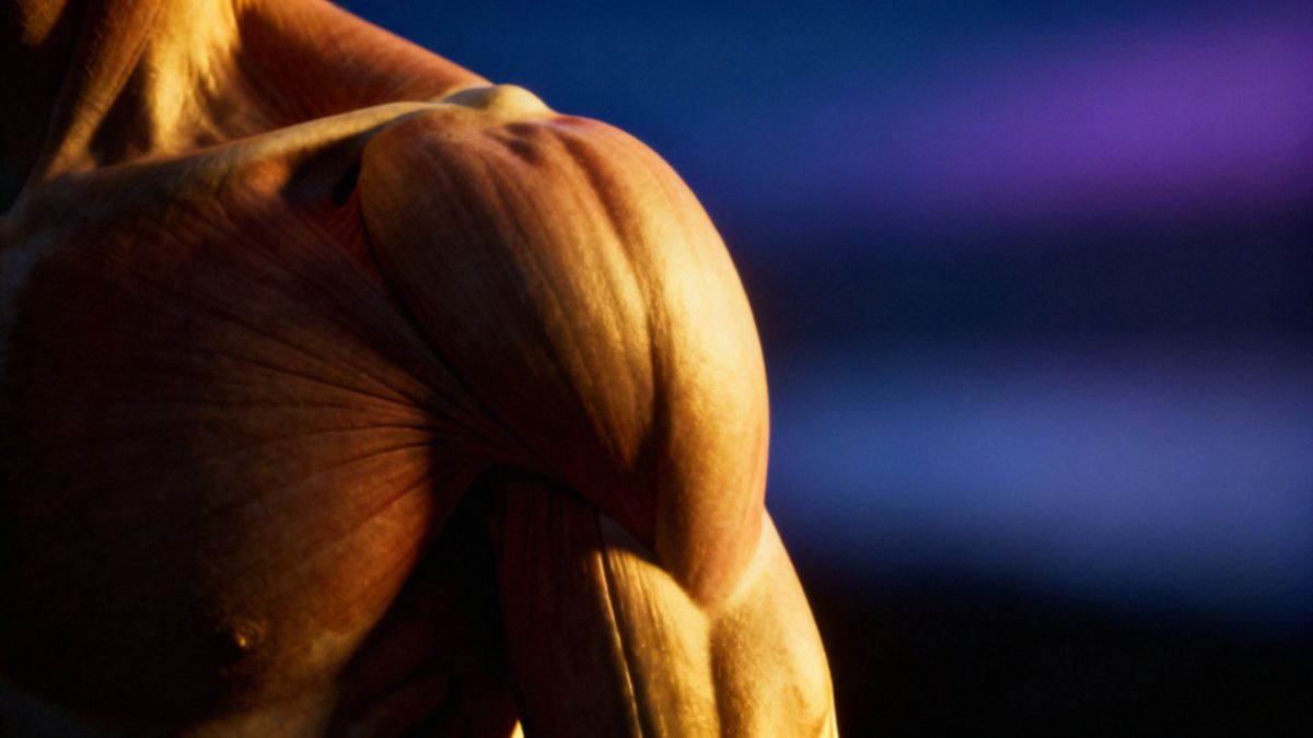 Gdzie są barki? Anatomia, przyczyny bólu i rehabilitacja