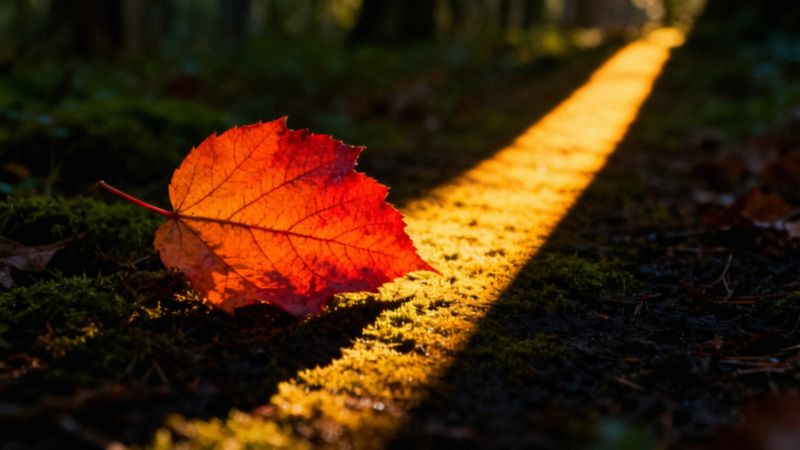 Ile trwają nerwobóle? Przyczyny i czas trwania bólu neuropatycznego