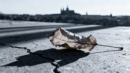 Jak narkotyki wpływają na organizm? Skutki zdrowotne i psychiczne