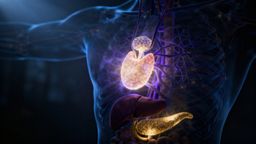 Lekarz hormonalny — kiedy warto się skonsultować i jakie terapie proponuje?