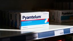 Pyrantelum — kiedy zaczyna działać i jak skutecznie stosować lek?