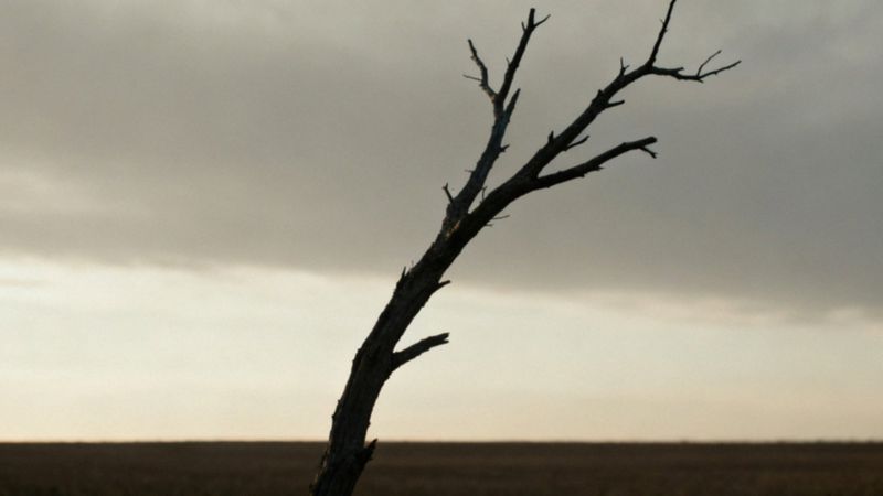 Spłycenie emocjonalne — co to jest i jak je leczyć?