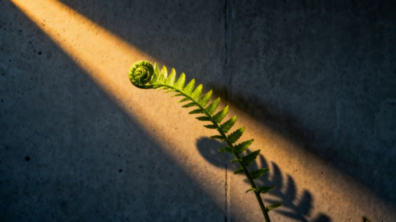 Uderzenia gorąca w nerwicy — objawy, przyczyny i leczenie